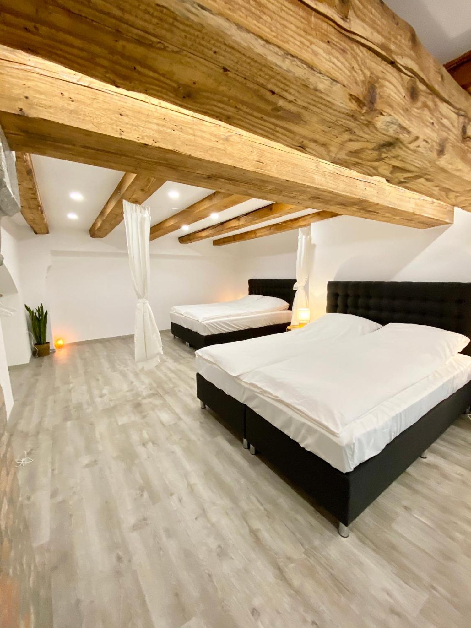 Jungle Loft - Central/Free Parking Ljubljana Exterior foto